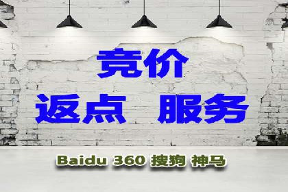 SEM竞价优化技巧分享：成功案例揭秘